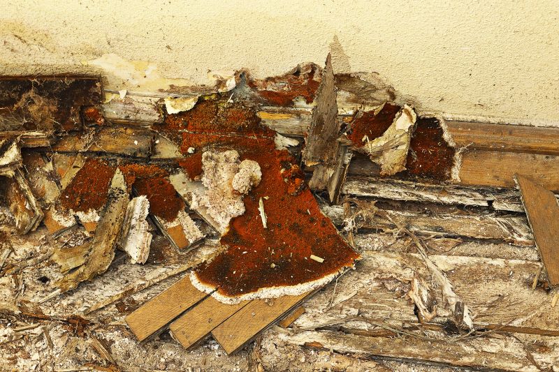 Wood Rot And Moisture Damage In Outdoor Structures